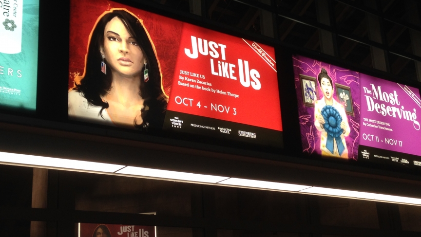 The play Just Like Us appeared on the Denver Center Theater Company's largest stage for a month. The play Just Like Us appeared on the Denver Center Theater Company's largest stage for a month.